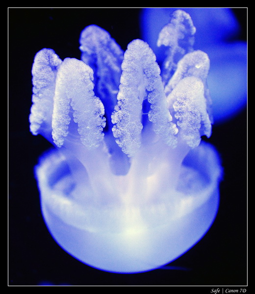 2012 - 06 - Dubai - 058